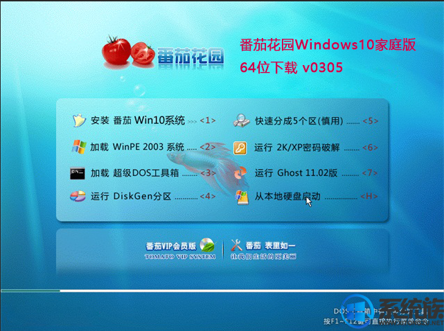 番茄花园Windows10家庭版64位下载 v0305